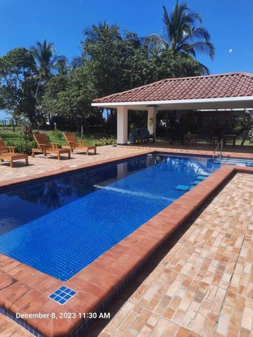 Pool view, Swimming pool, sunbed