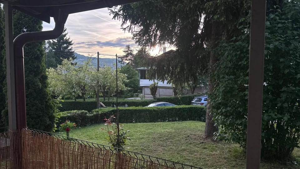 Garden view