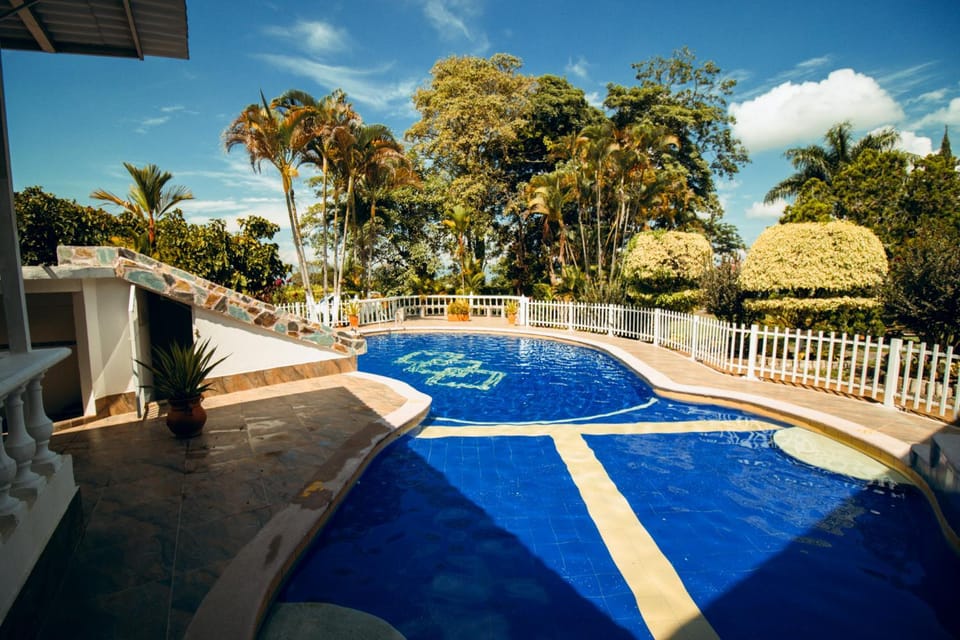 Pool view, Swimming pool
