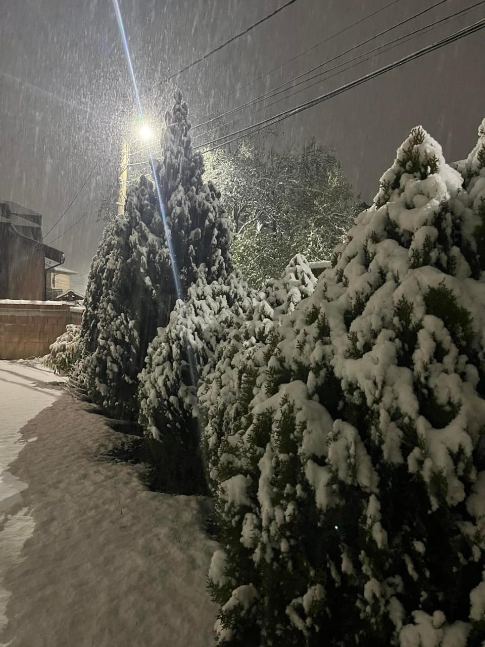 Night, Winter