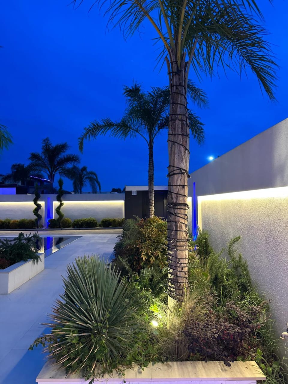 Night, Garden, Garden view, Pool view, Swimming pool