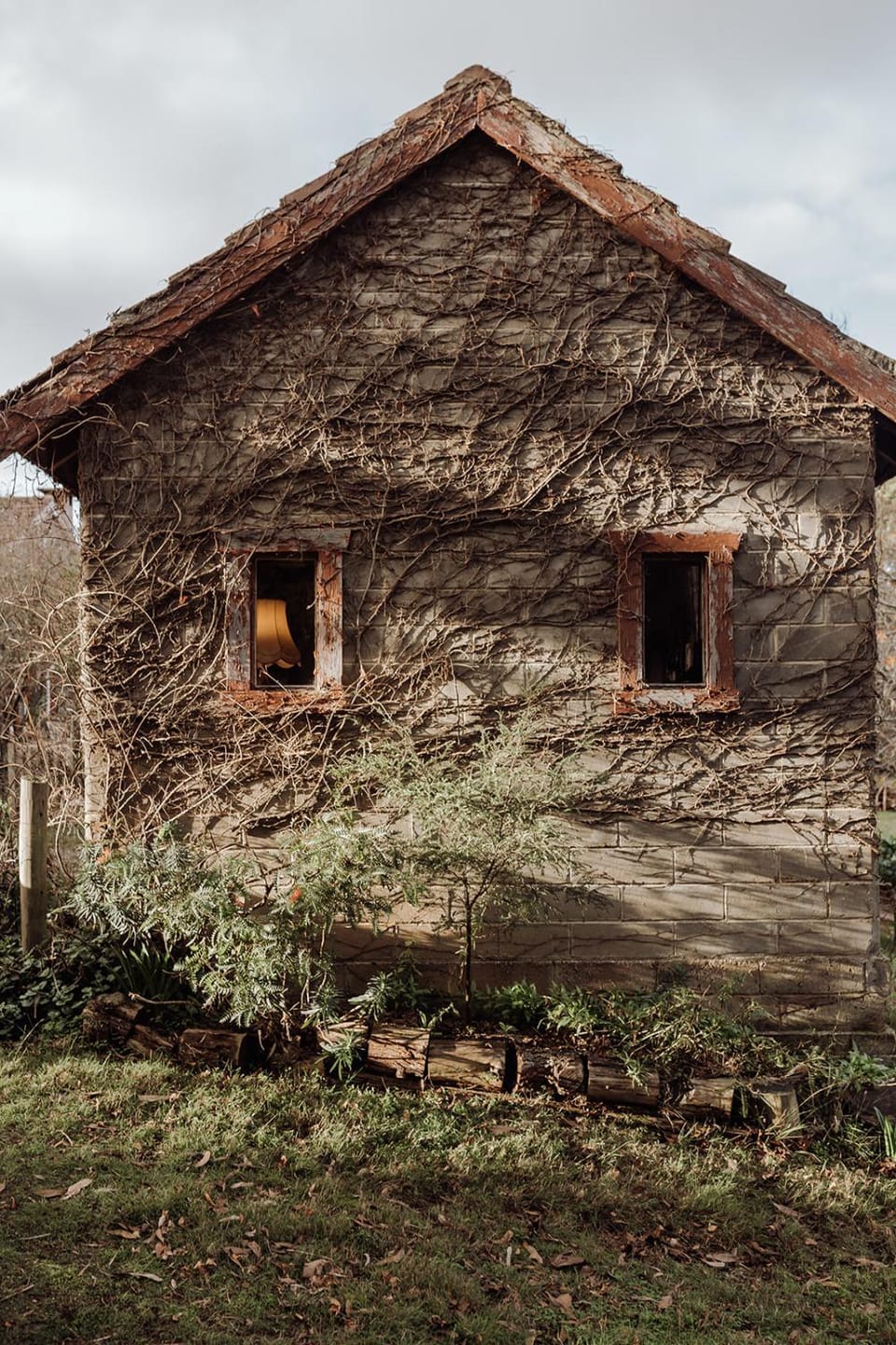 Property building, Winter