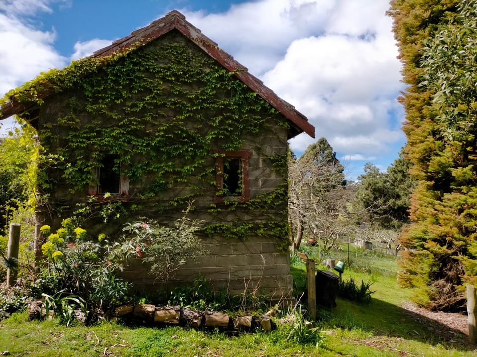 Property building, Spring, Garden, Garden