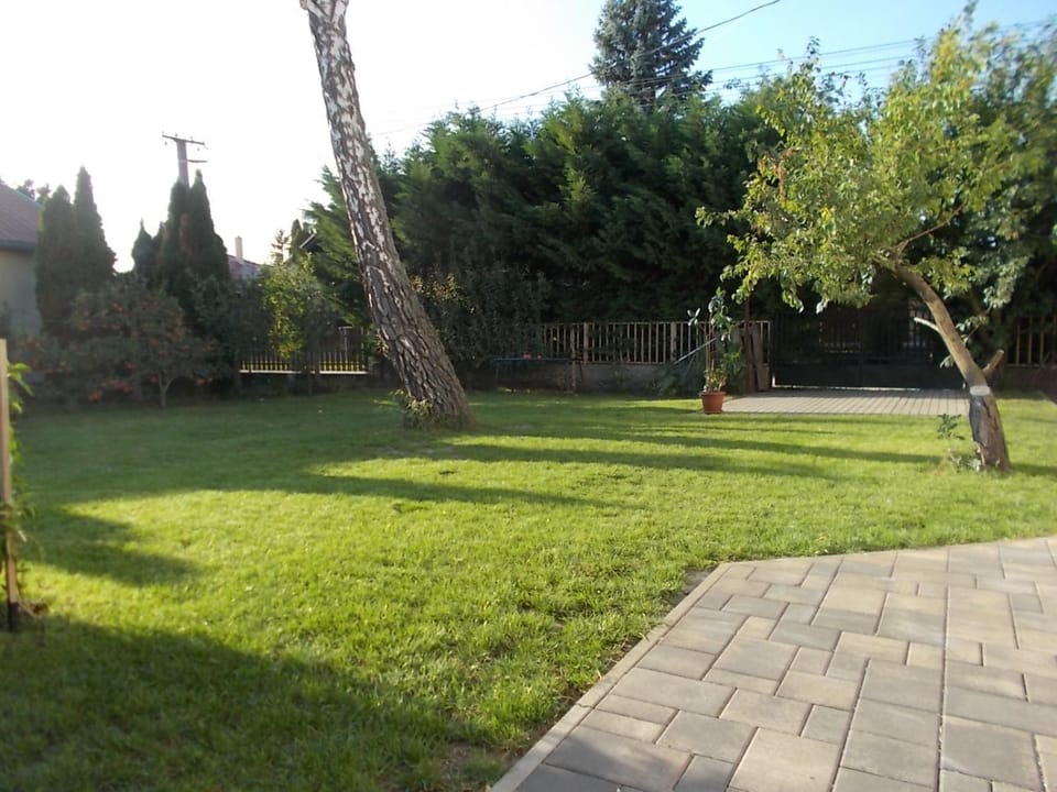 Patio, Day, Garden