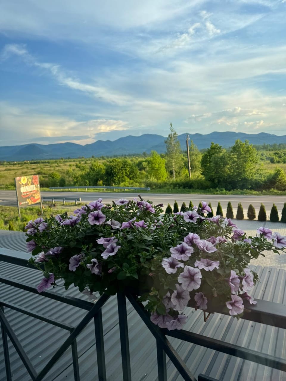 Spring, Garden view
