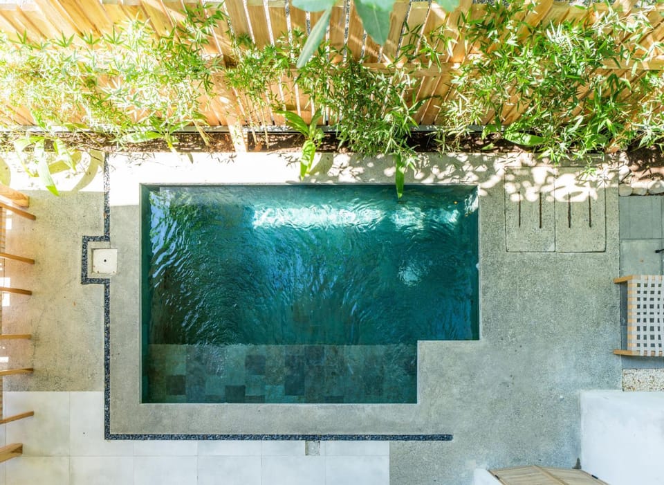Day, Garden, Swimming pool, Swimming pool