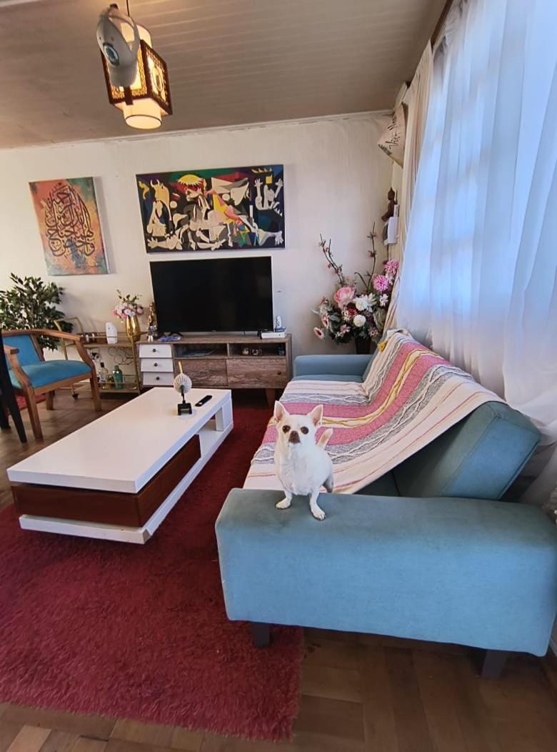 TV and multimedia, Living room, Photo of the whole room, Seating area