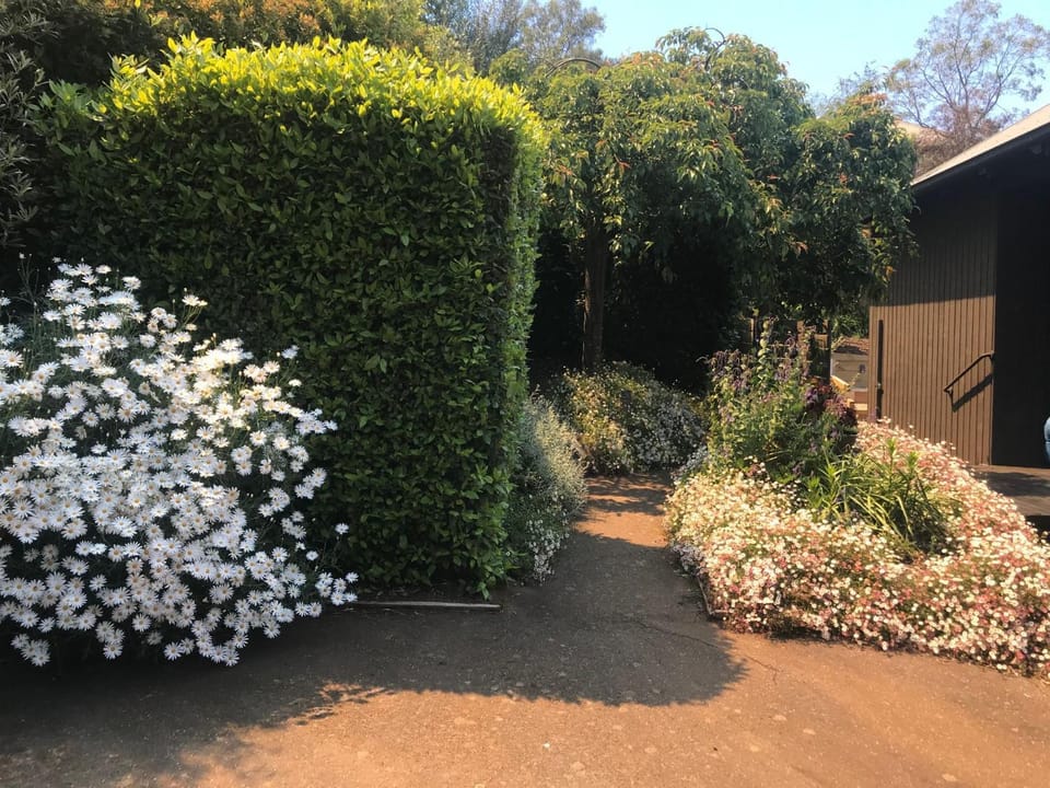 Garden view