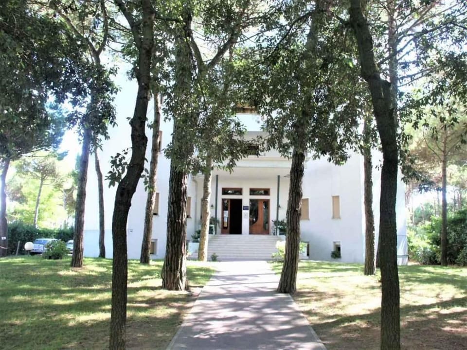 Property building, Summer, Garden