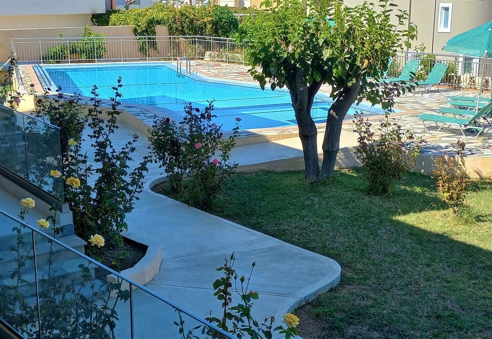 Garden, Garden view, Pool view, Swimming pool, sunbed