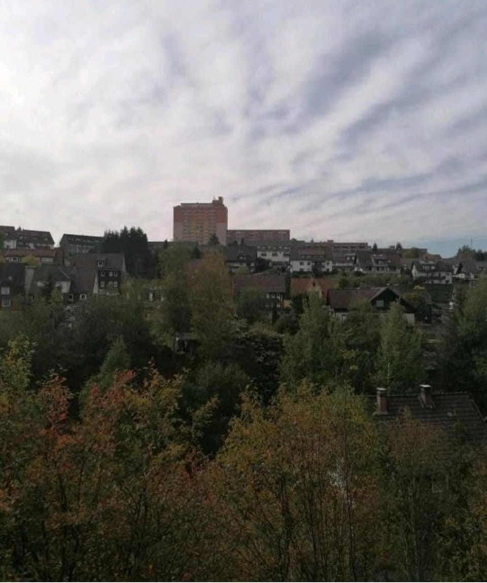 Natural landscape, City view