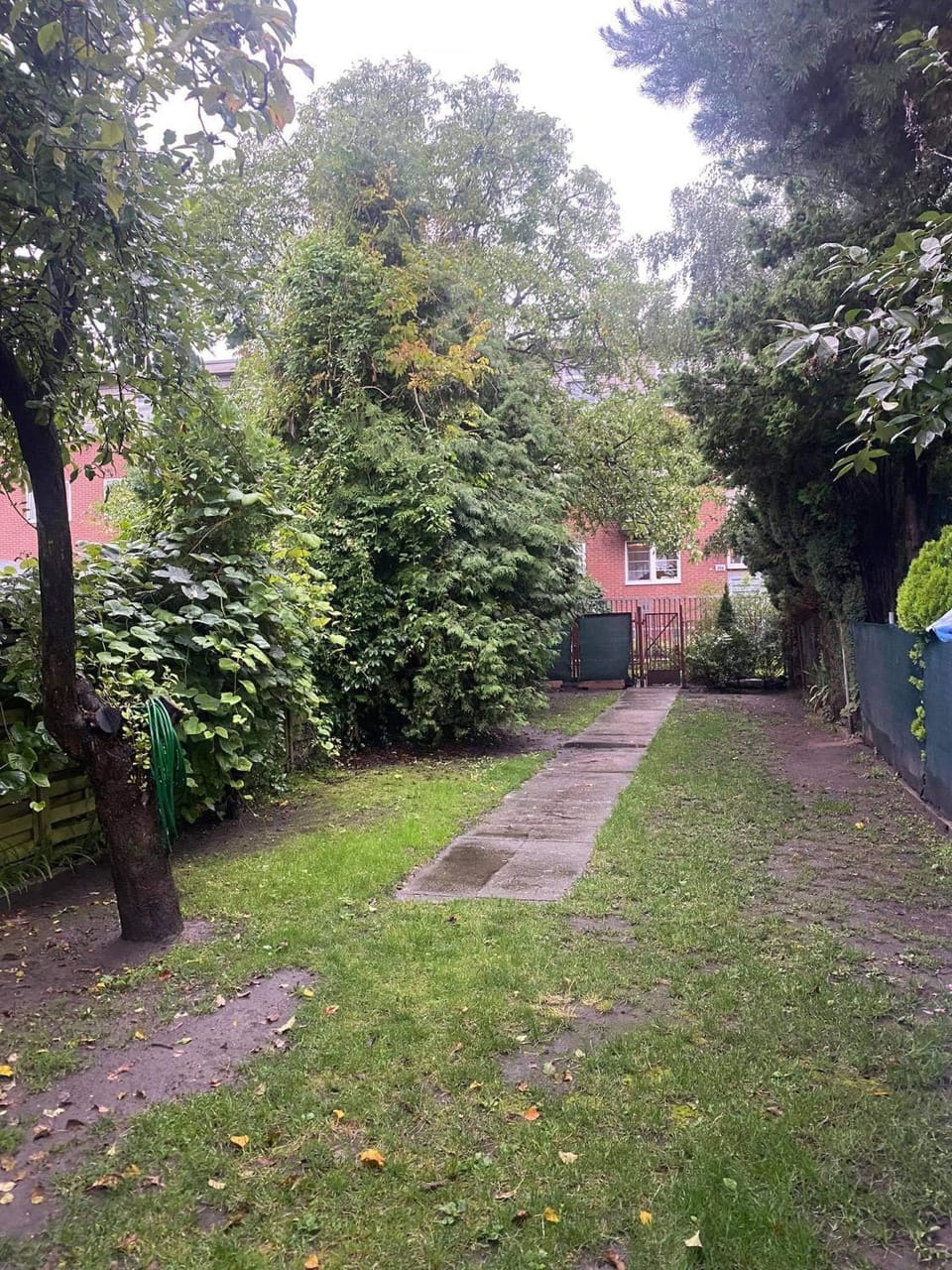 Natural landscape, Garden