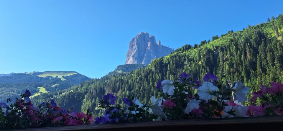 Property building, Mountain view