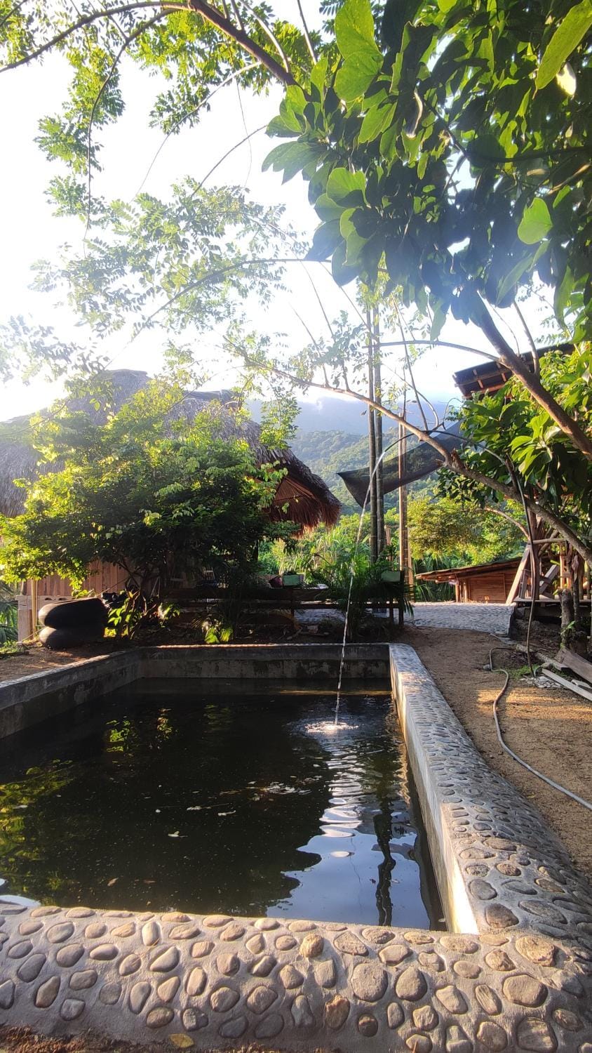 Siwi Lodge House in Magdalena, Colombia