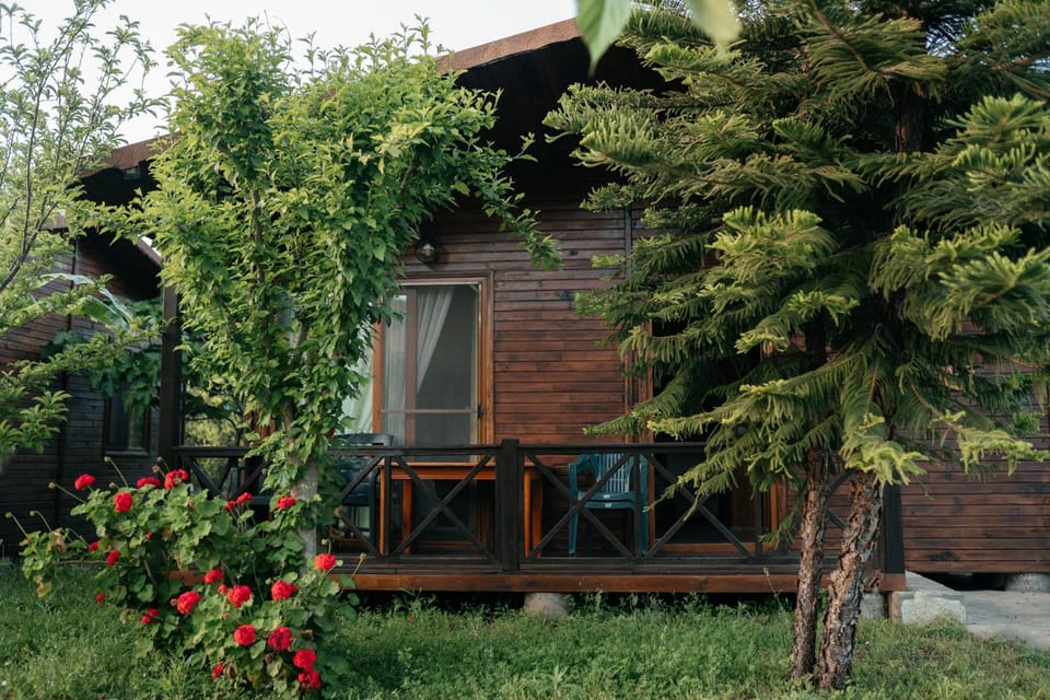 Property building, Spring, Garden, Garden view