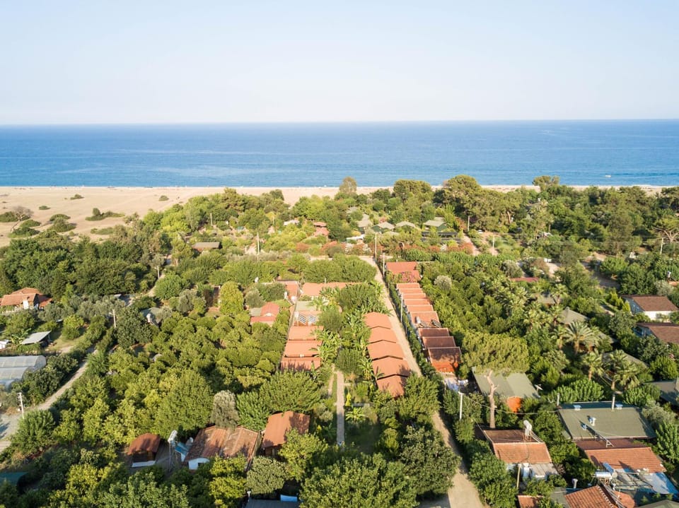 Off site, Day, Bird's eye view, City view, Garden view, Sea view, Street view, Location