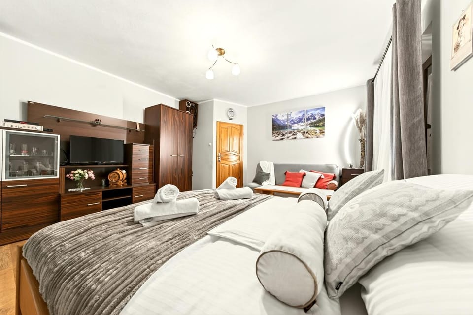 Bed, TV and multimedia, Living room, Photo of the whole room, Seating area, Bedroom