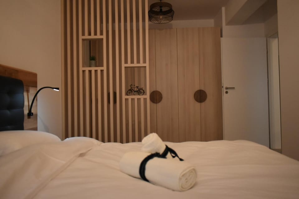 Save Relaxing Residence Brasov Apartment in Brasov