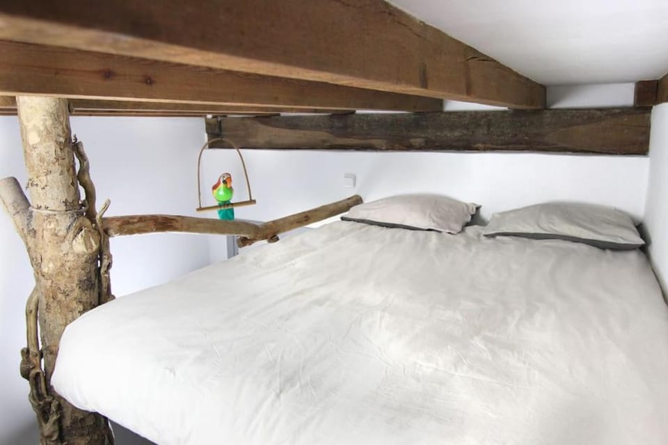 La casa del árbol Apartment in San Sebastian