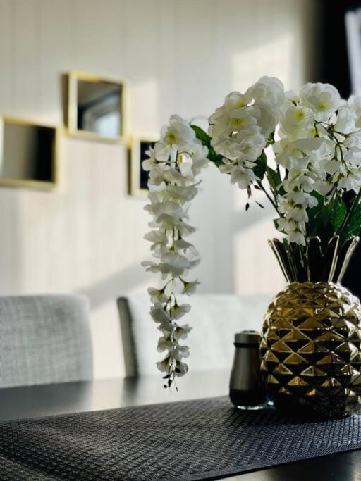 Abode à la Mode / Centrally Located 2BR/1BA Home Apartment in Evansville