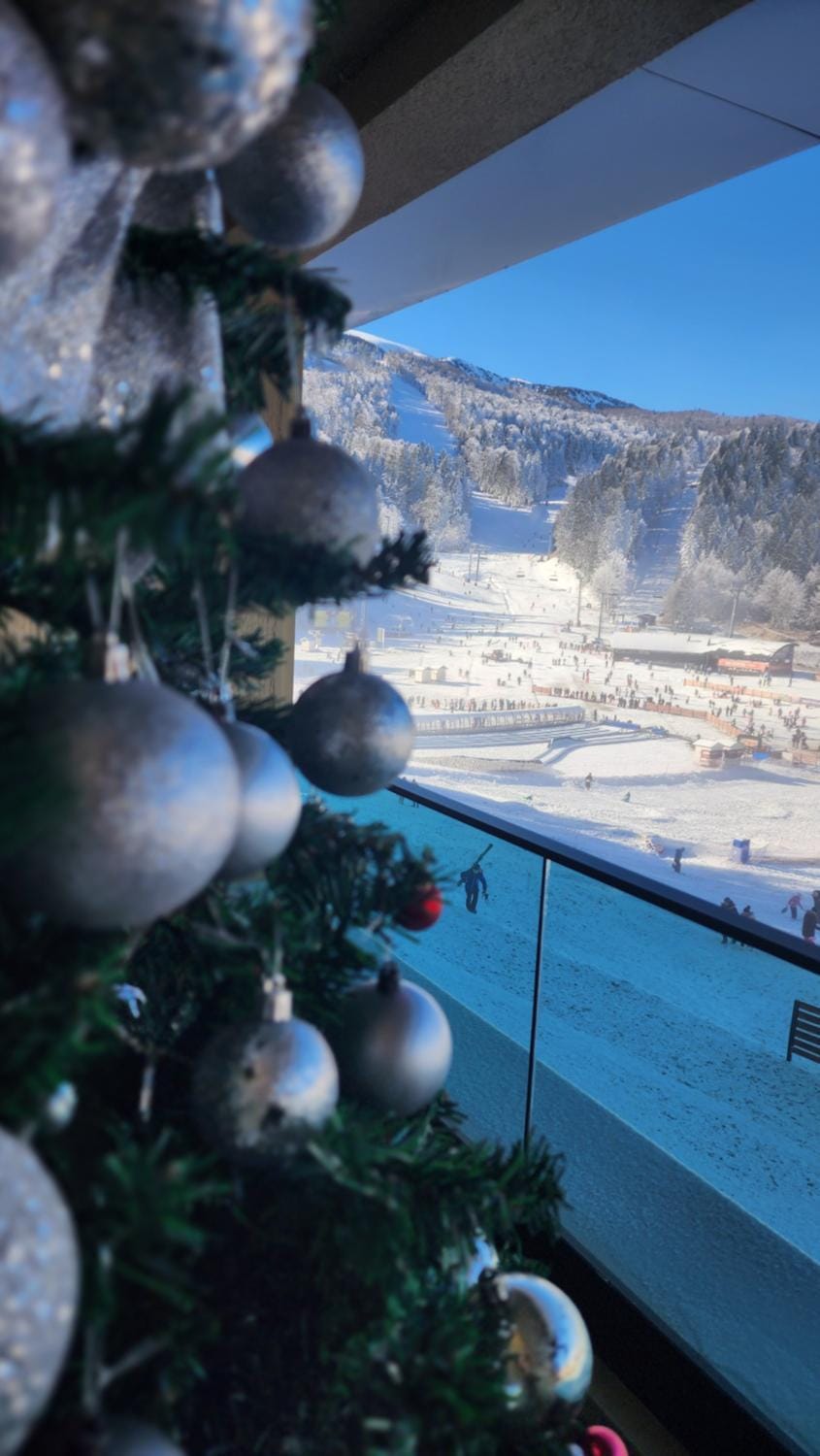 WinterHome2 Apartment in Federation of Bosnia and Herzegovina