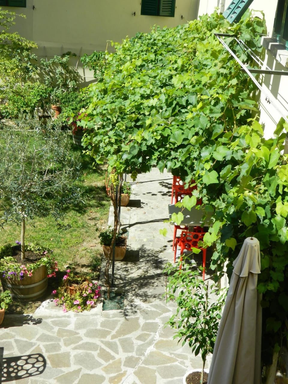 Spring, Day, Garden, Other, Garden view