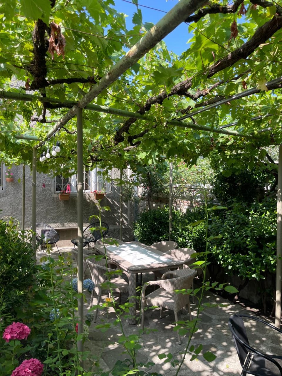 Garden view