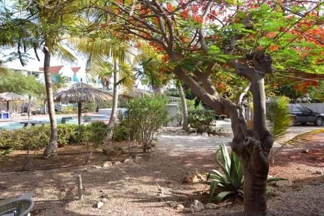 Caribbean Court E1 Apartment in Venezuela