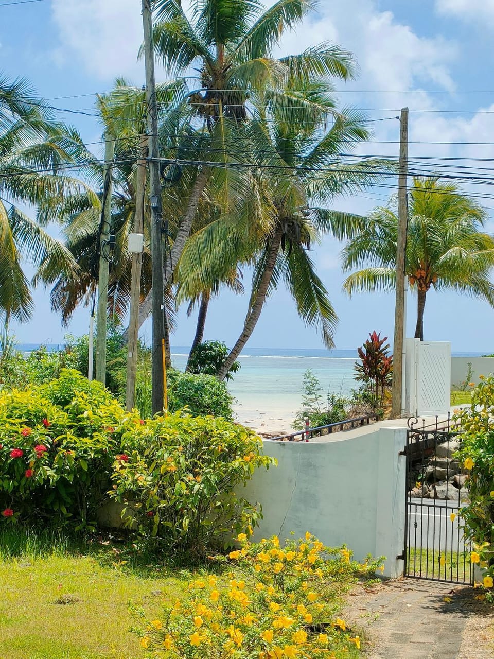 Natural landscape, Beach, Garden view, Sea view
