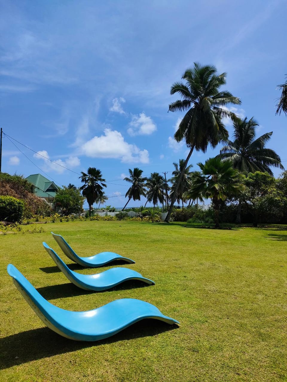 Natural landscape, Garden, Garden view, sunbed