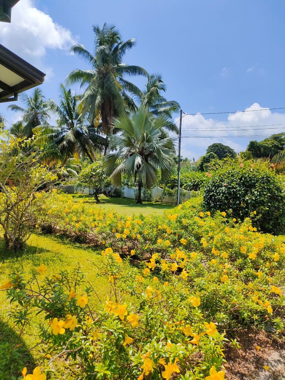 Garden, Garden view