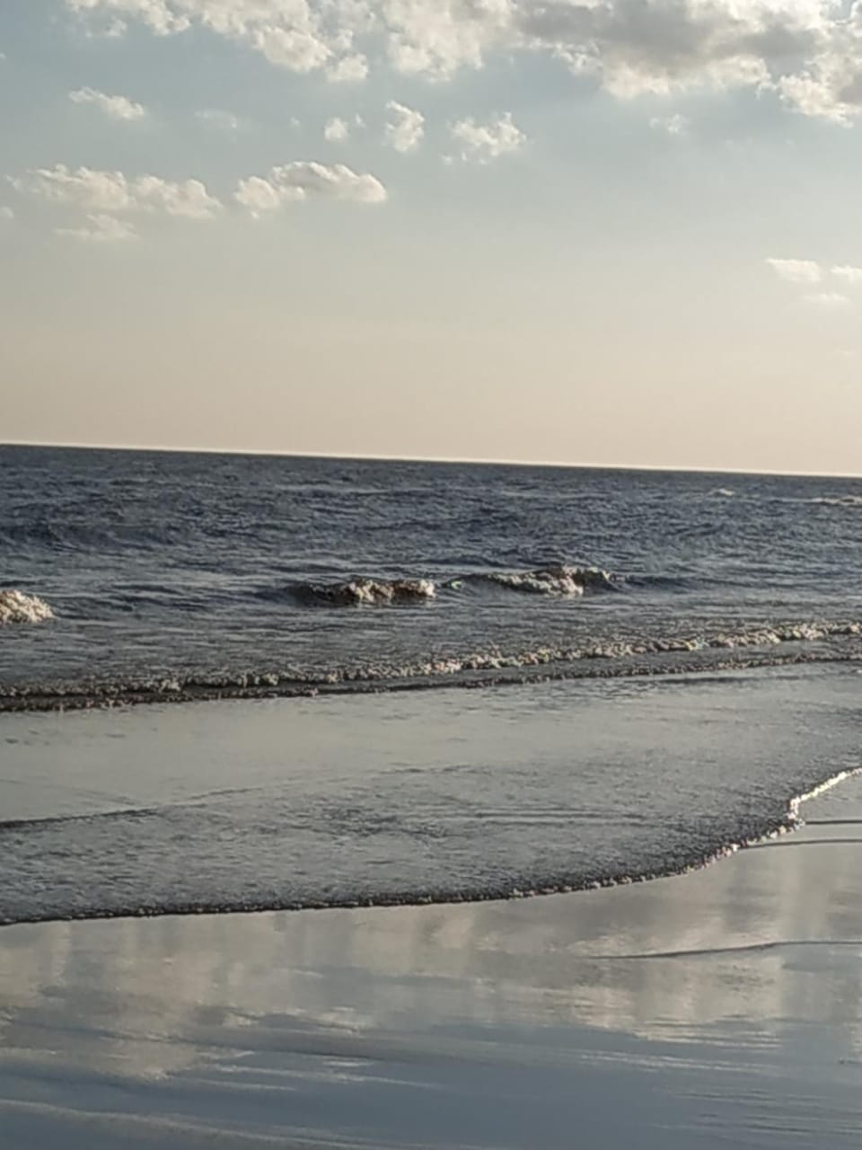 Natural landscape