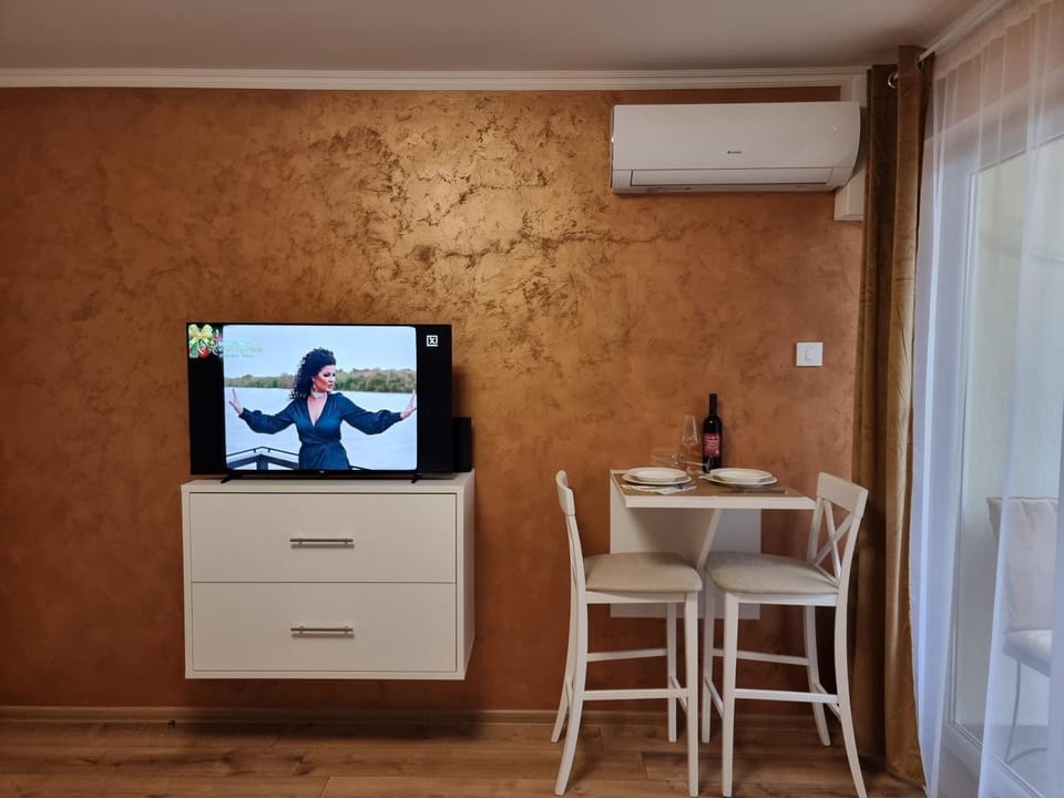 TV and multimedia, Dining area, air conditioner