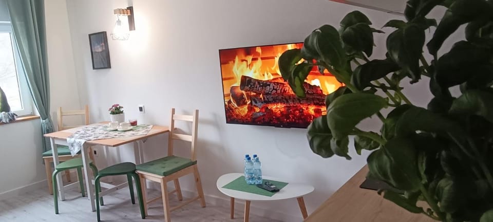Studio z sauną Apartment in Lower Silesian Voivodeship