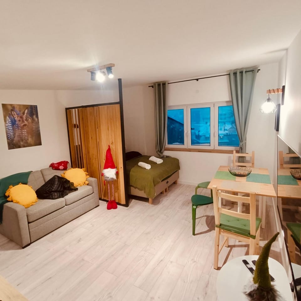 Studio z sauną Apartment in Lower Silesian Voivodeship