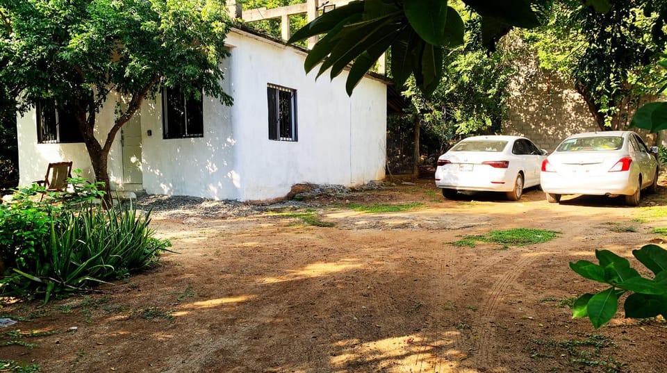 Spring, Day, Garden, Garden view, Parking