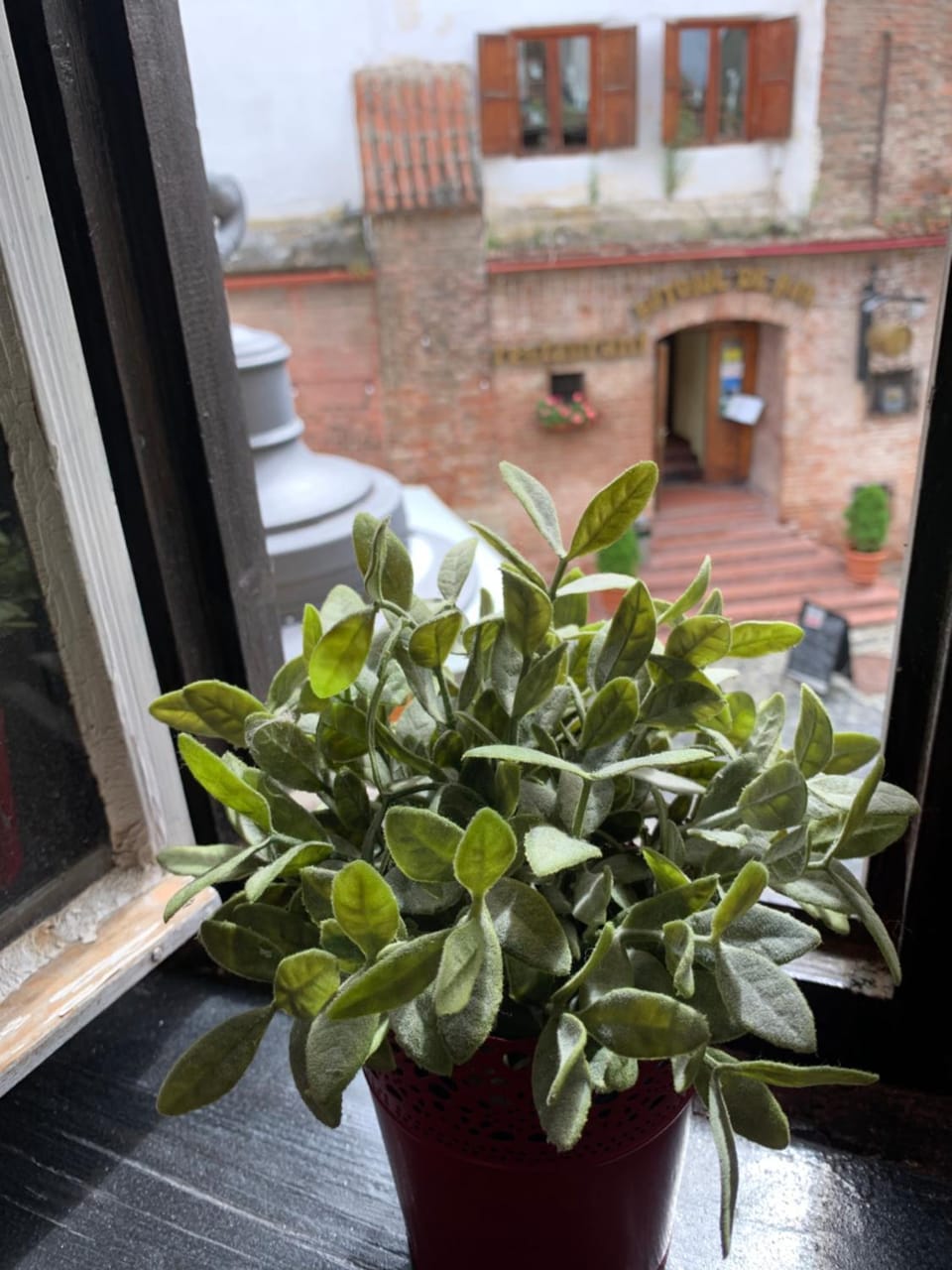 View (from property/room)