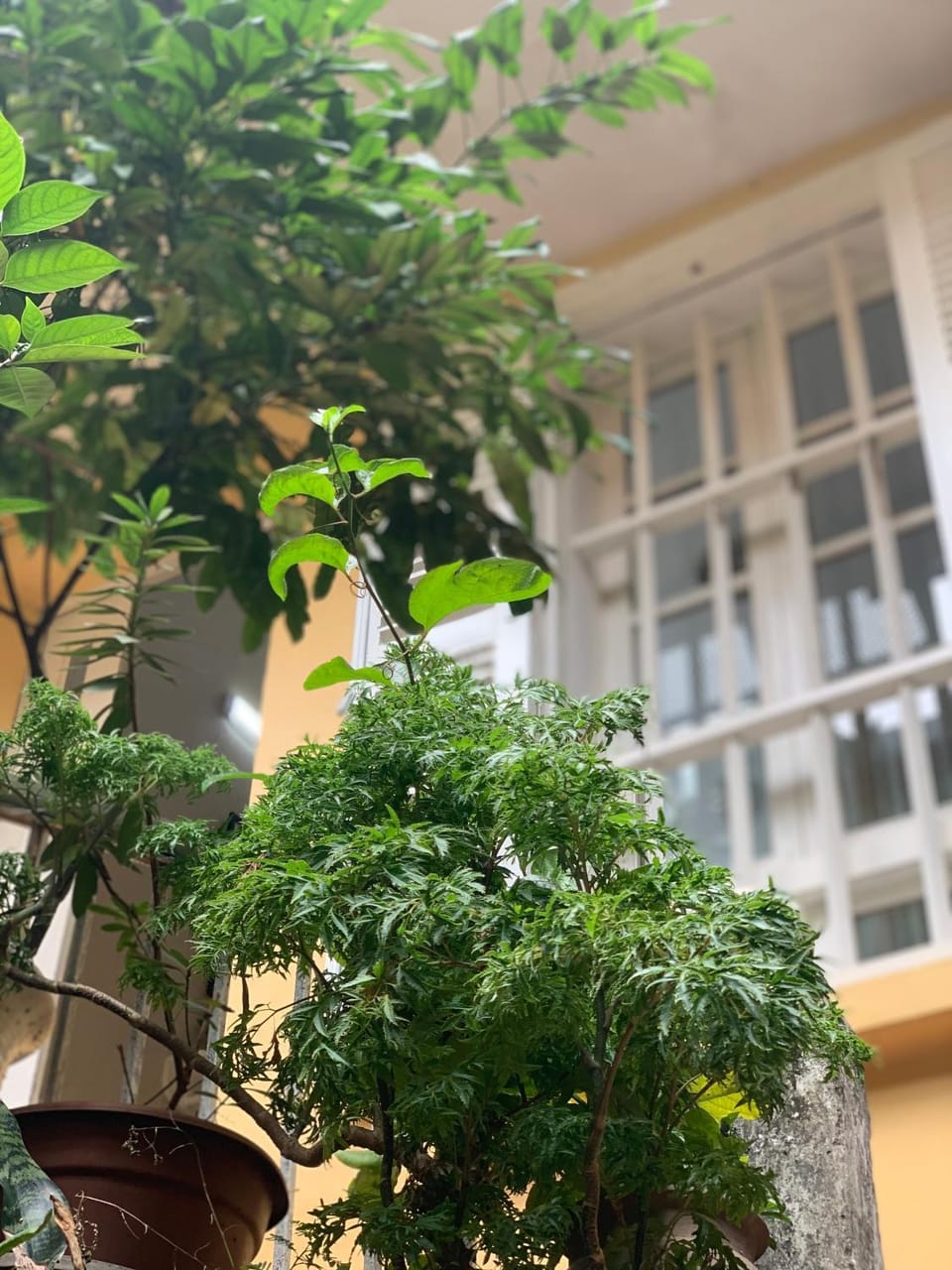 CharmCham house Vacation rental in Hanoi