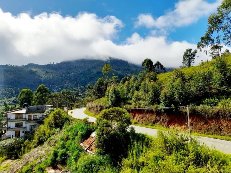 Day, Natural landscape, Summer, Mountain view