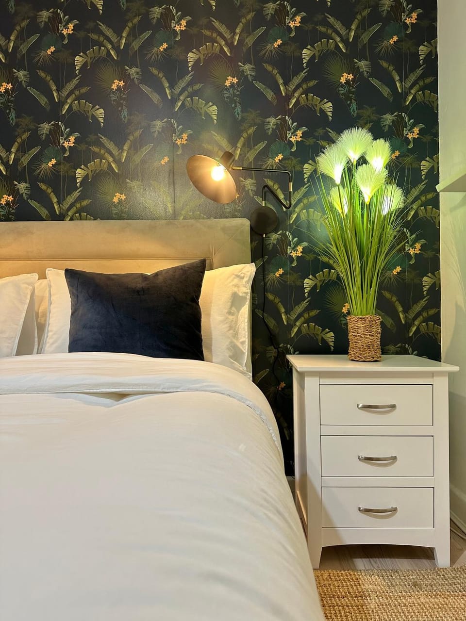 Blush Jungle - Homestay Vacation rental in Dublin