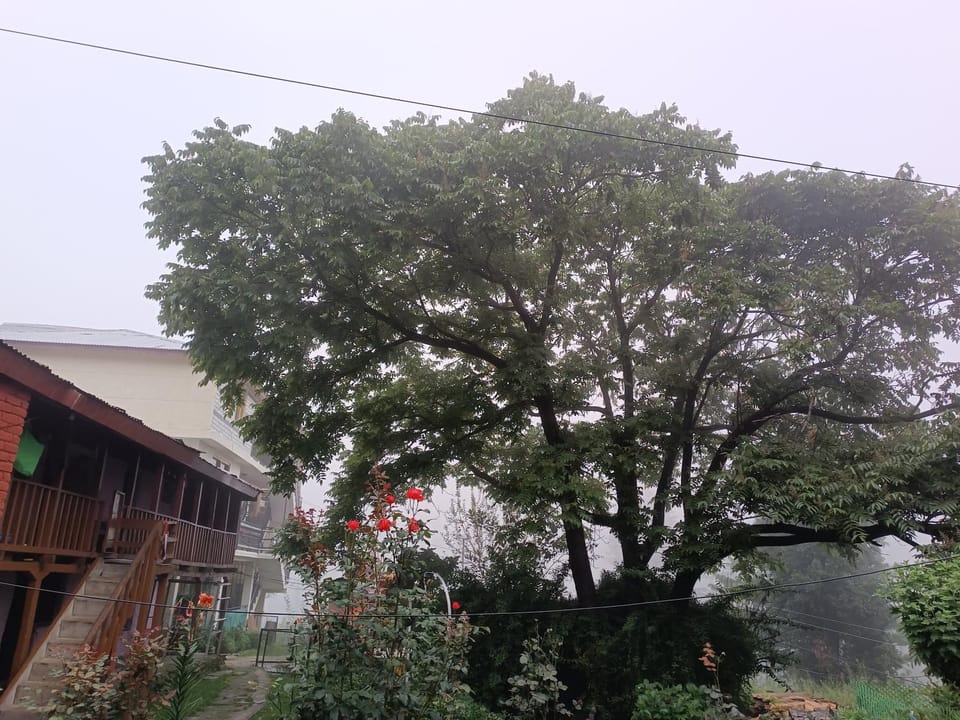 Garden, Garden view