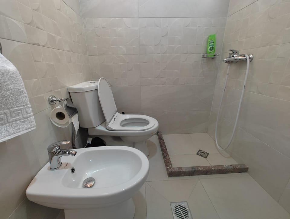Shower, Toilet, Bathroom, bidet