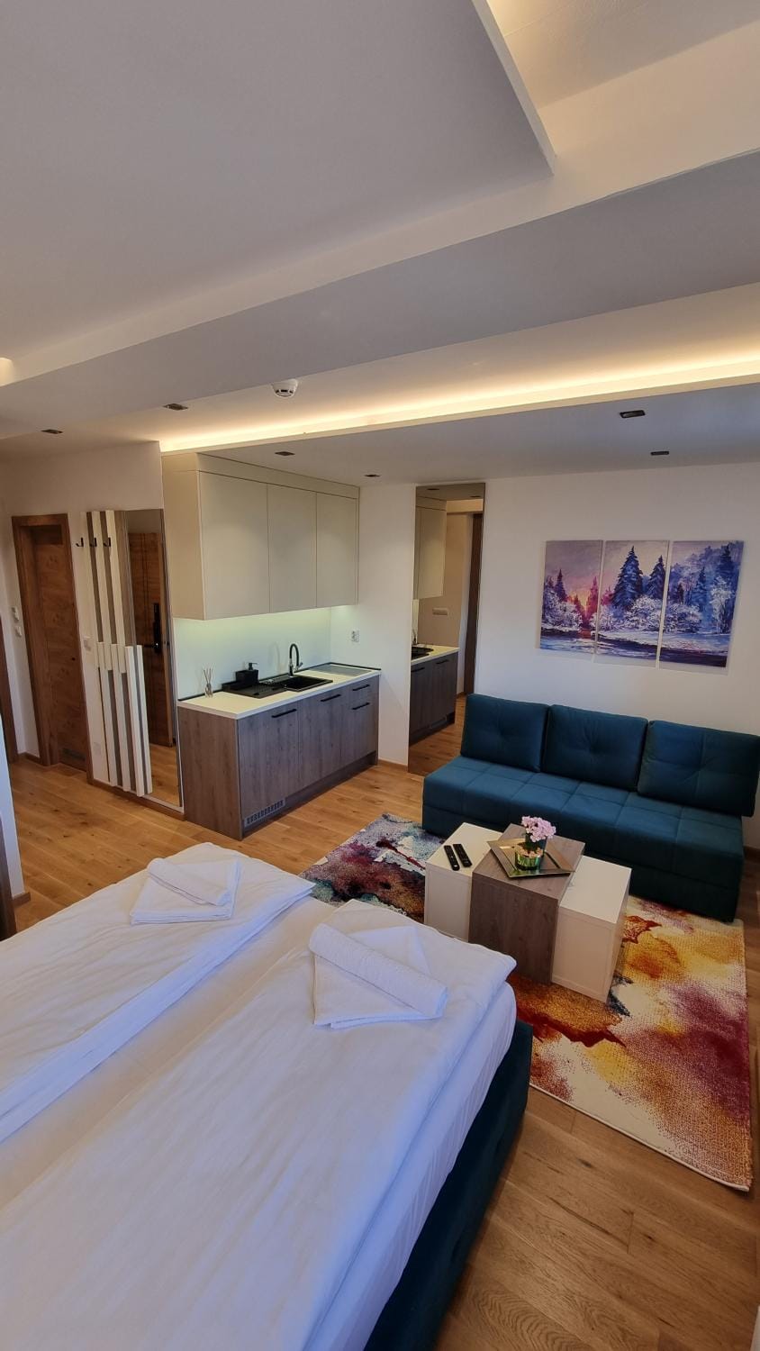 Bed, Kitchen or kitchenette, Living room