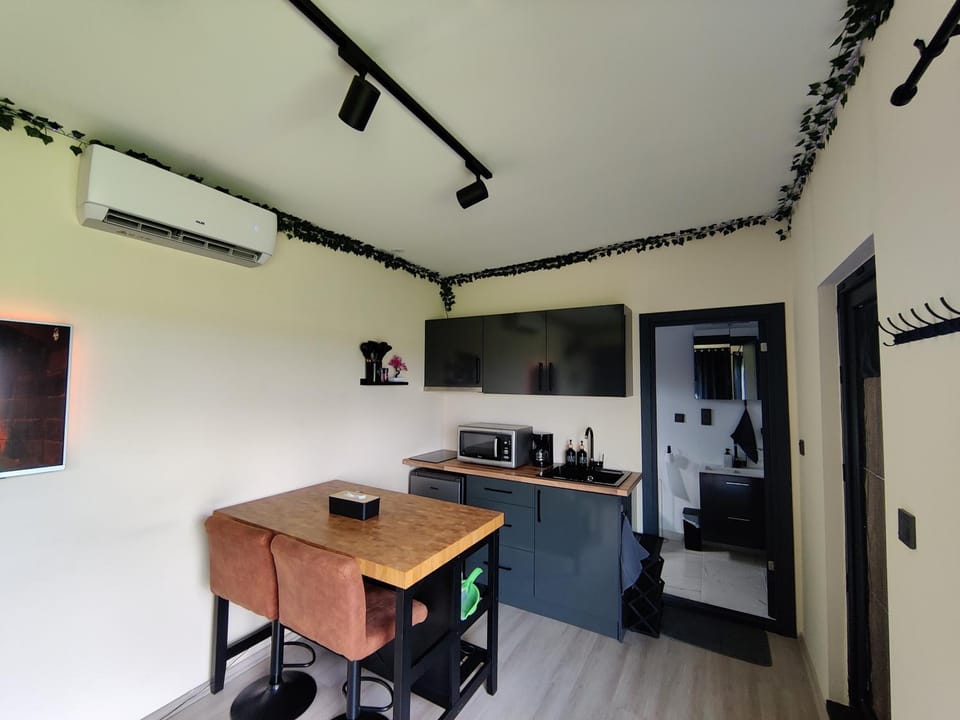 Kitchen or kitchenette, Dining area, minibar, air conditioner