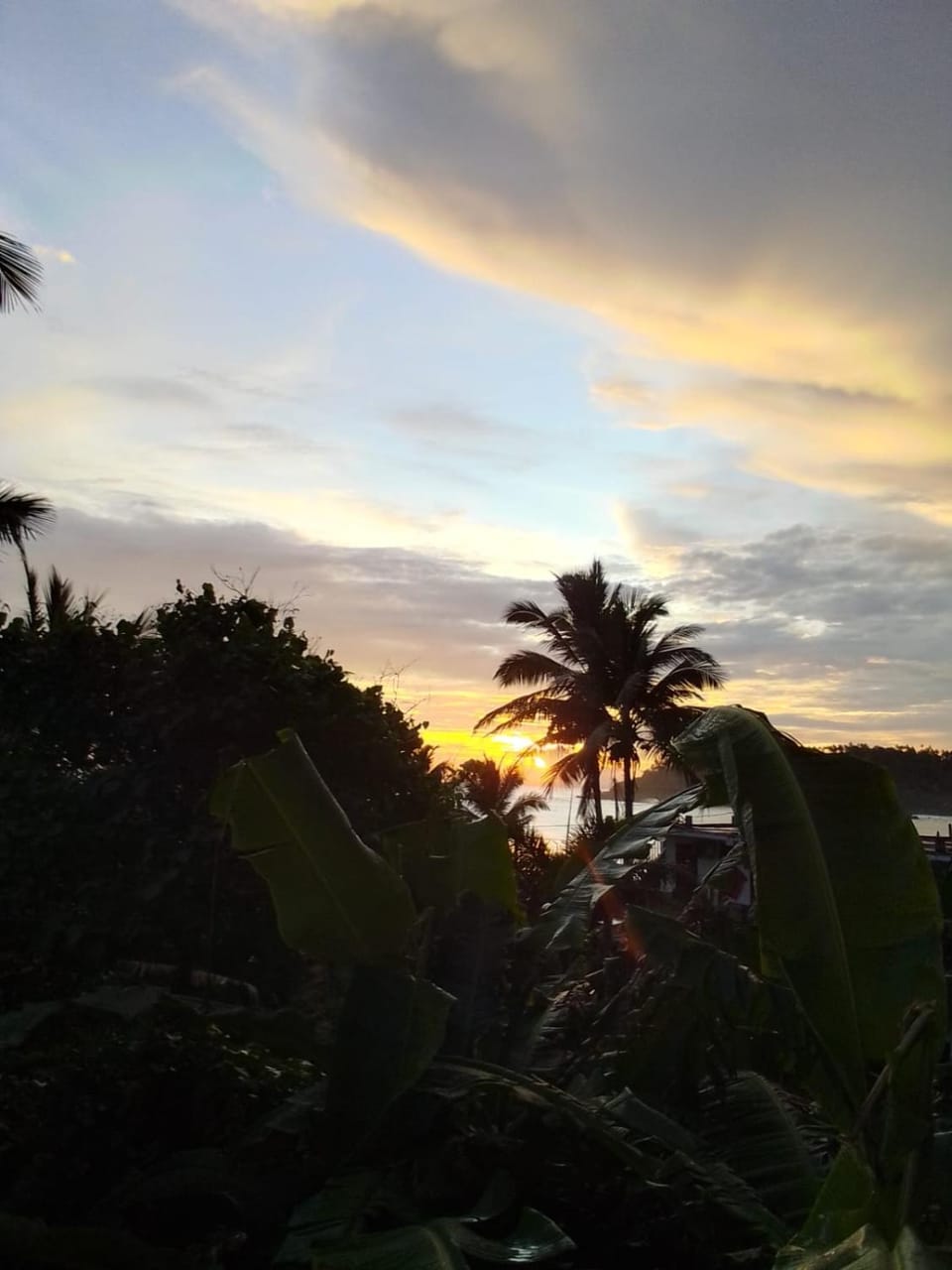 Natural landscape, Sunset