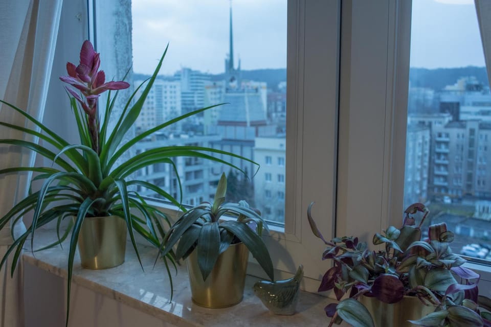 Property building, Other, Photo of the whole room, Bedroom, City view, Street view