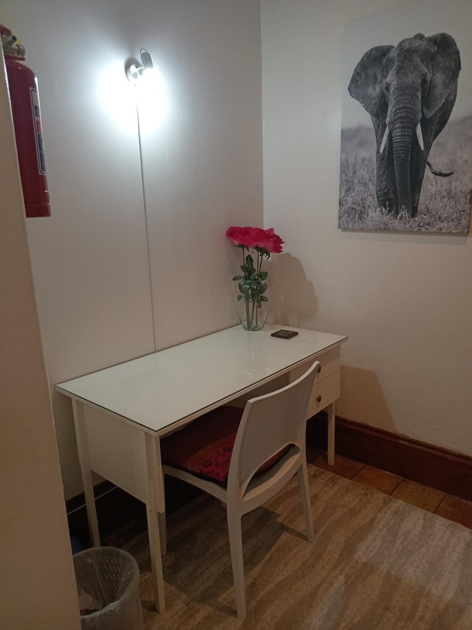 Fancy Pansy 4.2 Room 1 only : Spacious 1 bedroom house Apartment in Gauteng