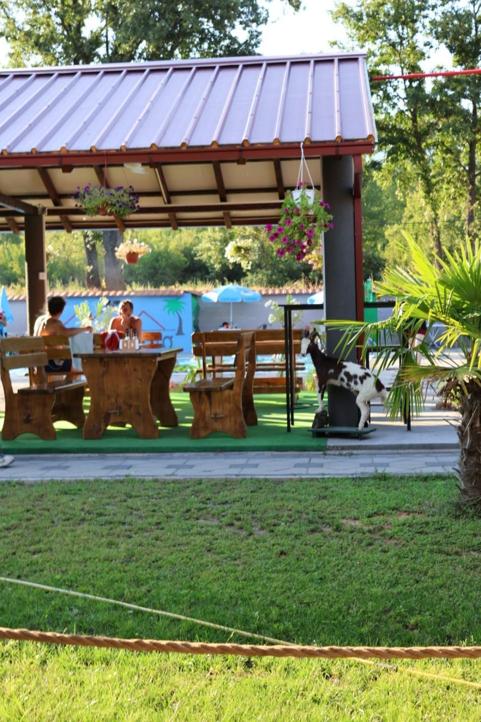Villa Tino Omorani Bed and Breakfast in North Macedonia