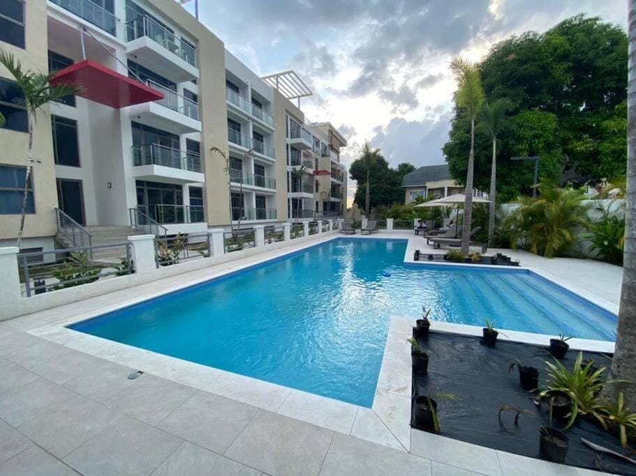 The Echelon Suite Apartment in Kingston