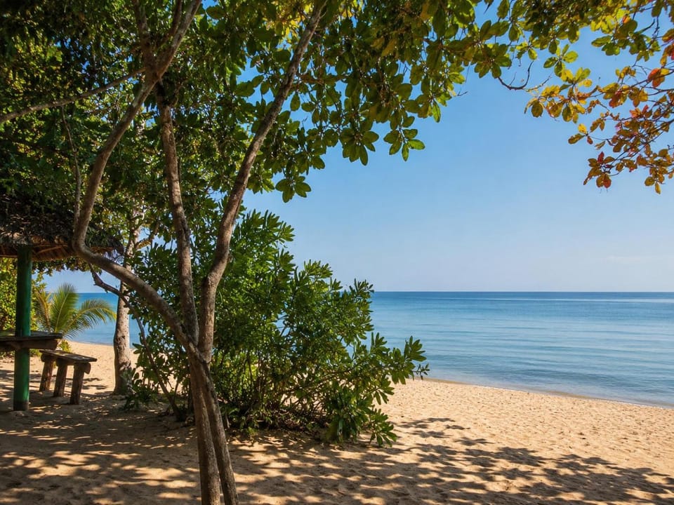 Beach, Sea view